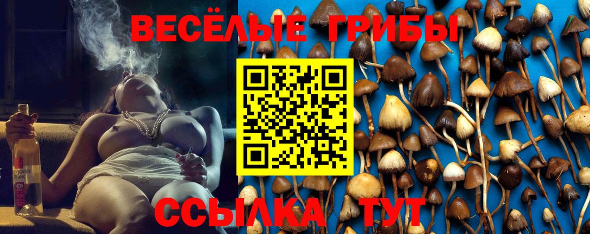 Ноябрьск  Псилоцибиновые грибы Psilocybine cubensis  Вход с VPN 